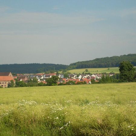 Гостевой дом Winzerhof Spengler Kulsheim Экстерьер фото
